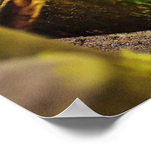 Kute Little Hedgel in Forest Poster (Hoek)