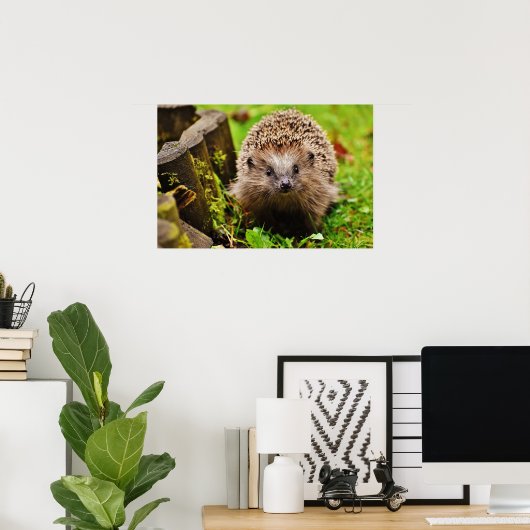 Kute Little Hedgel in Forest Poster (Thuiskantoor)