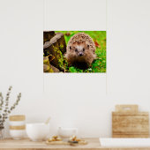 Kute Little Hedgel in Forest Poster (Keuken)