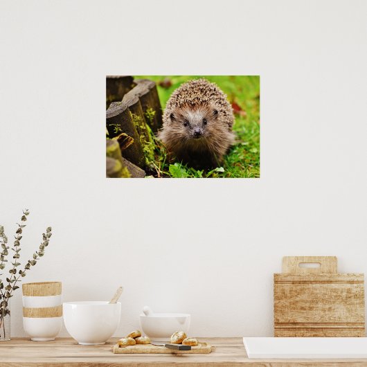 Kute Little Hedgel in Forest Poster (Keuken)