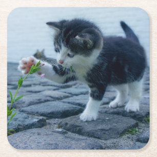 Kute Little Kitten Spelen met een ventilator Kartonnen Onderzetters