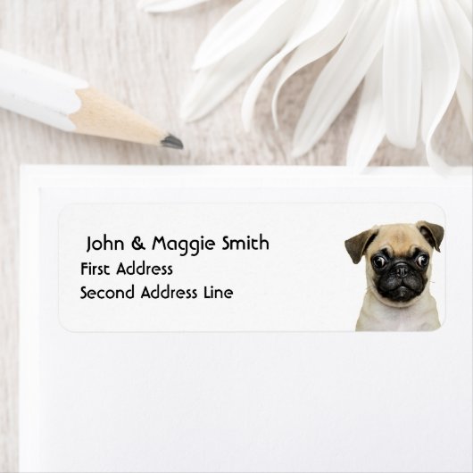 Kute Little Pug Puppy Dog Dier Etiket (Insitu)