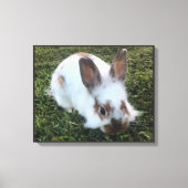 Kute Little Rabbit in the Grass Canvas Print (Voorkant)
