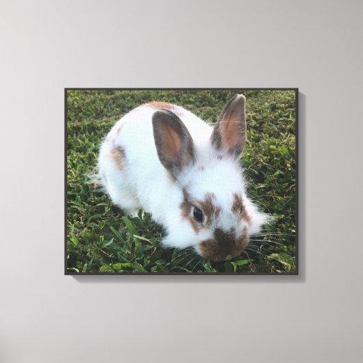 Kute Little Rabbit in the Grass Canvas Print (Voorkant)