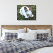 Kute Little Rabbit in the Grass Canvas Print (Insitu (Slaapkamer))