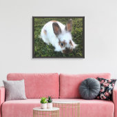 Kute Little Rabbit in the Grass Canvas Print (Insitu (Woonkamer))