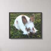 Kute Little Rabbit in the Grass Canvas Print (Voorkant)