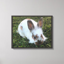 Kute Little Rabbit in the Grass Canvas Print