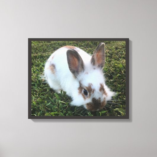 Kute Little Rabbit in the Grass Canvas Print (Voorkant)