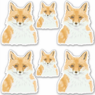 Kute Little Red Fox - transparante 6x aangepaste c Sticker
