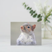Kute Little Soft and Fluffy Grey Squirrel Briefkaart (Staand voorkant)