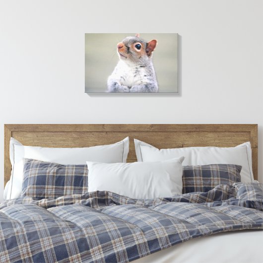 Kute Little Soft and Fluffy Grey Squirrel Canvas Afdruk (Insitu (Slaapkamer))