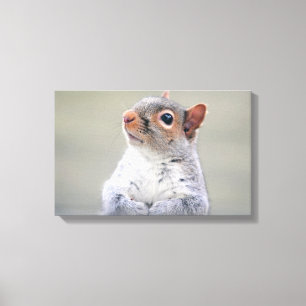 Kute Little Soft and Fluffy Grey Squirrel Canvas Afdruk