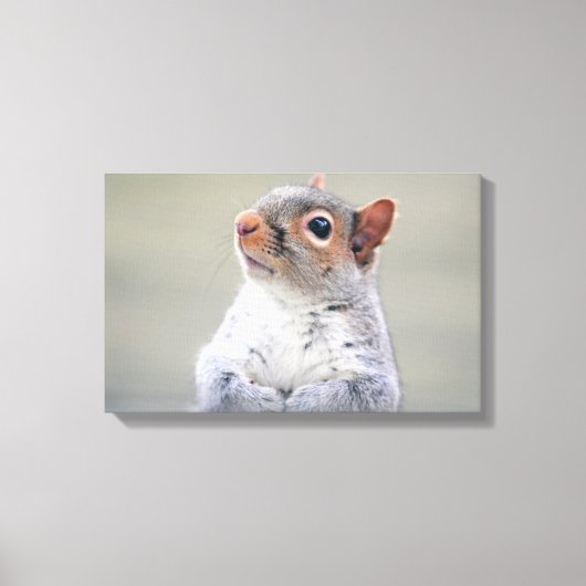 Kute Little Soft and Fluffy Grey Squirrel Canvas Afdruk (Voorkant)