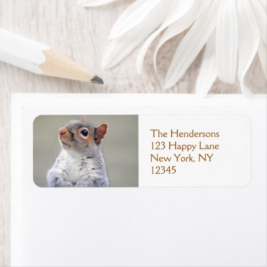 Kute Little Soft and Fluffy Grey Squirrel Etiket (Insitu)