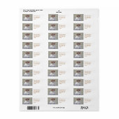 Kute Little Soft and Fluffy Grey Squirrel Etiket (Full Sheet)