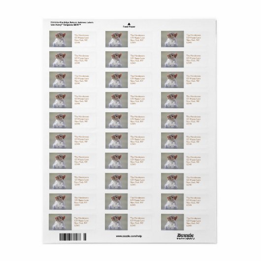 Kute Little Soft and Fluffy Grey Squirrel Etiket (Full Sheet)