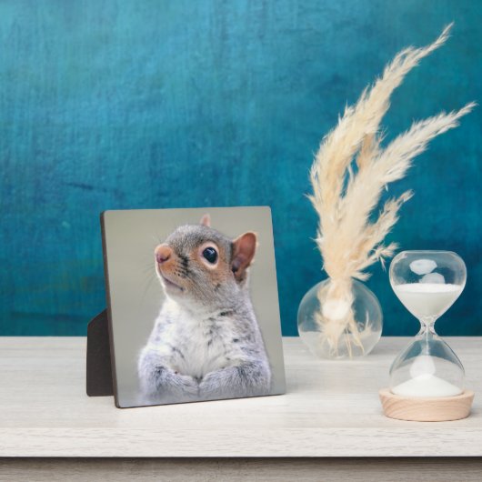 Kute Little Soft and Fluffy Grey Squirrel Fotoplaat (Insitu)