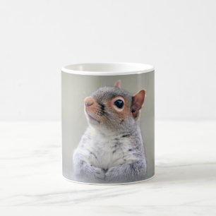 Kute Little Soft and Fluffy Grey Squirrel Koffiemok