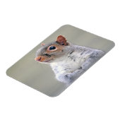 Kute Little Soft and Fluffy Grey Squirrel Magneet (Linkerzijde)