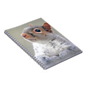 Kute Little Soft and Fluffy Grey Squirrel Notitieboek (Rechterzijde)