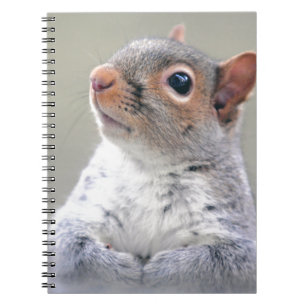 Kute Little Soft and Fluffy Grey Squirrel Notitieboek