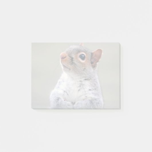 Kute Little Soft and Fluffy Grey Squirrel Post-it® Notes (Voorkant)
