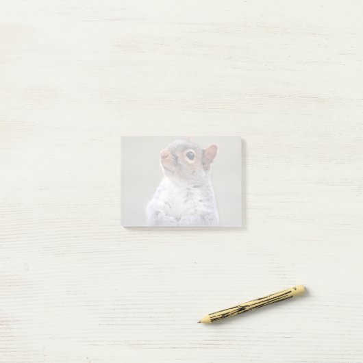 Kute Little Soft and Fluffy Grey Squirrel Post-it® Notes (Op bureau)