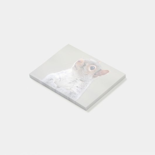 Kute Little Soft and Fluffy Grey Squirrel Post-it® Notes (Schuin)
