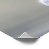 Kute Little Soft and Fluffy Grey Squirrel Poster (Hoek)