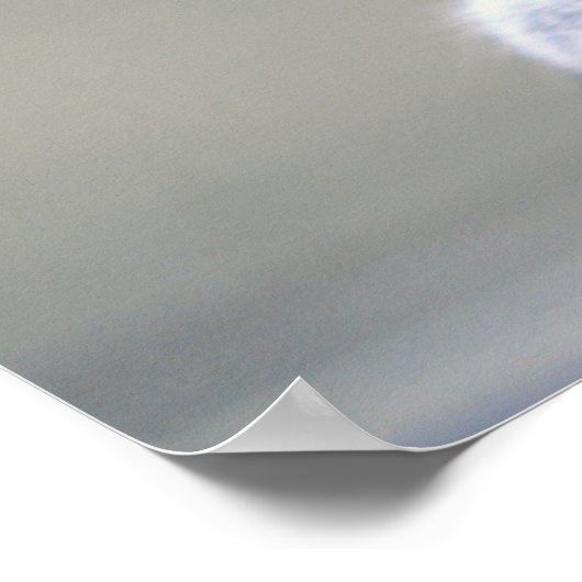 Kute Little Soft and Fluffy Grey Squirrel Poster (Hoek)