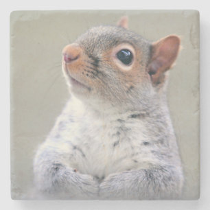 Kute Little Soft and Fluffy Grey Squirrel Stenen Onderzetter