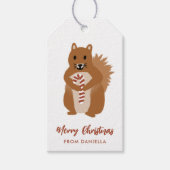 Kute Little Squirrel Persoonlijke Kerstmis Cadeaulabel (Voorkant)