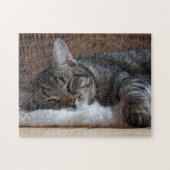 Kute Little Striped Kat Legpuzzel (Horizontaal)