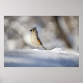 Kute Little Tufted Titmouse Bird in Snow Poster (Voorkant)