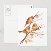 Kute Little Waterverf Sparrow Garden Birds Briefkaart (Voorkant / Achterkant)