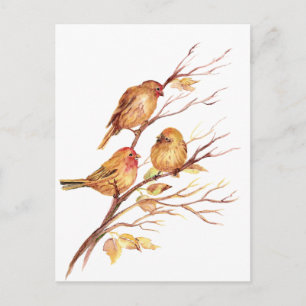 Kute Little Waterverf Sparrow Garden Birds Briefkaart