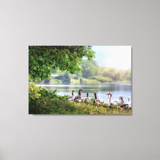 Kute lot van het bos van het geese meer canvas afdruk (Voorkant)