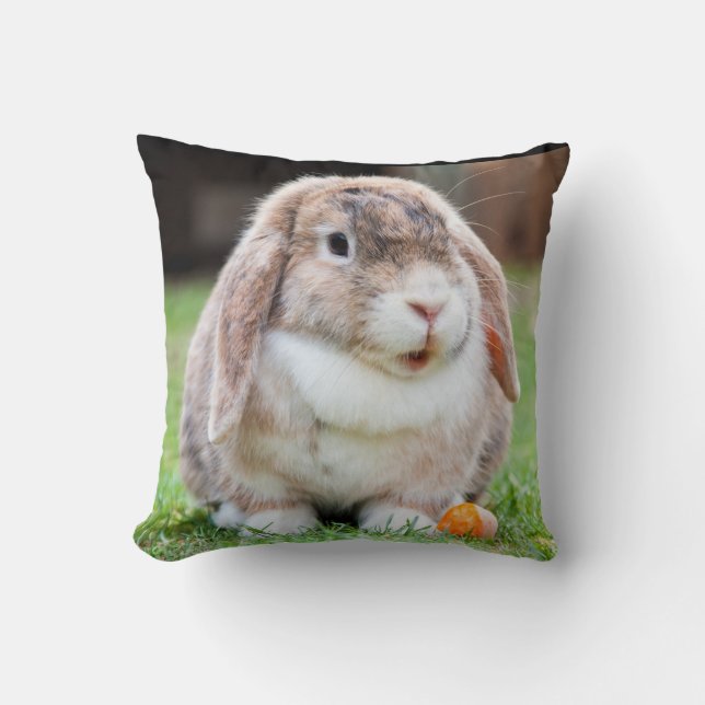 Kute luop konijn in de gras met wortel kussen (Voorkant)