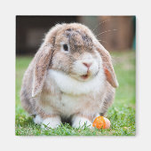 Kute luop konijn in de gras met wortel magneet (Voorkant)