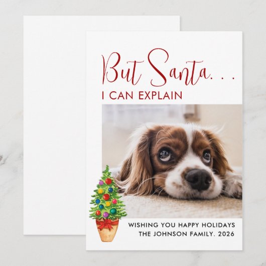 Kute maar Santa... Ik kan uitleggen| Groen| Pet Fo Feestdagenkaart (Voorkant / Achterkant)