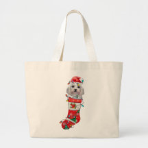 Kute Maltese hond Kerstmis, mas Maltese hond