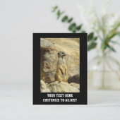 Kute meerfoto briefkaart (Staand voorkant)