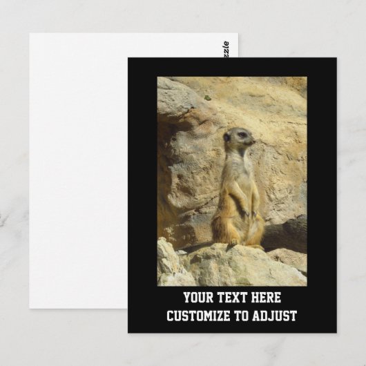 Kute meerfoto briefkaart (Voorkant / Achterkant)