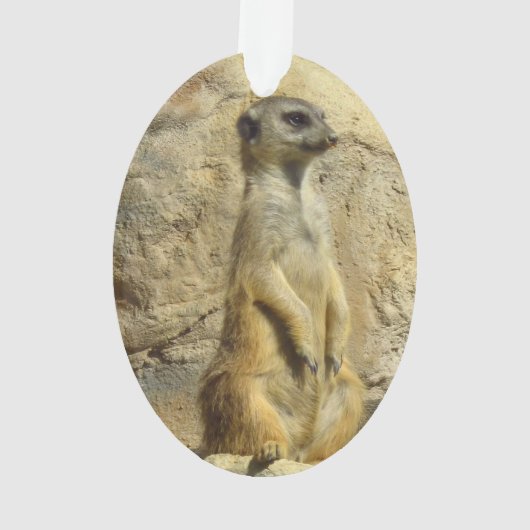 Kute meerfoto ornament (achterkant)