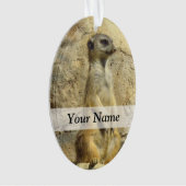 Kute meerfoto ornament (voorkant)