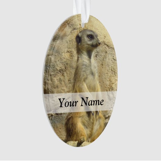 Kute meerfoto ornament (voorkant)