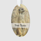 Kute meerfoto ornament (voorkant)