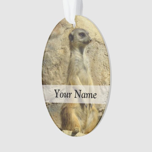 Kute meerfoto ornament (voorkant)