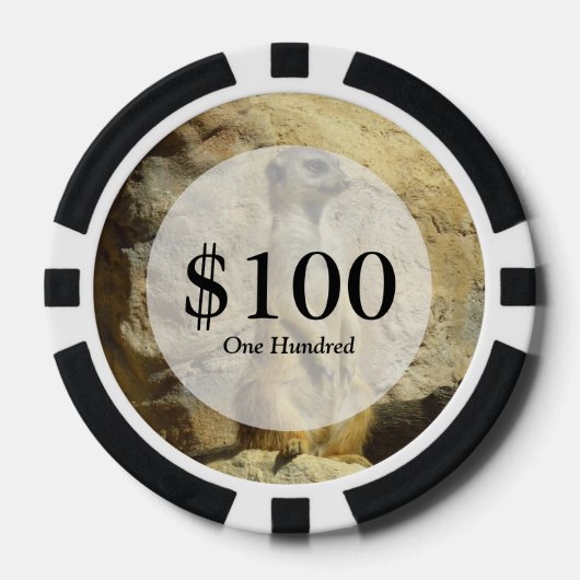 Kute meerfoto poker chips (Voorkant)
